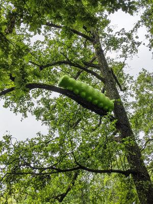 Dicke Raupe