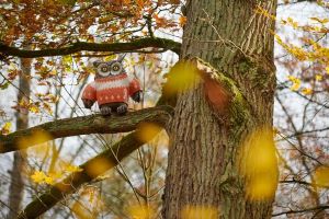 Eule im Norwegerpulli