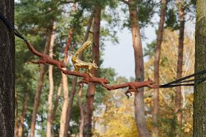 König der Eichhörnchen