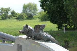 GrünGürtel-Tier