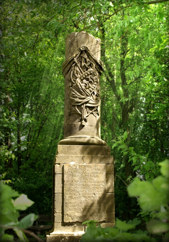 Bild: Ehrensäule für Leopold II.